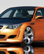 447382_57031_profile