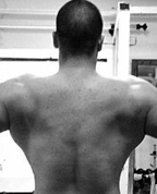 447390_93126_profile