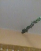 447630_87921_profile