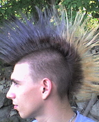 448131_93538_profile