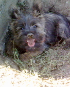 448330_24422_profile