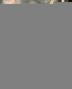 448902_89494_profile