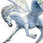 449324_29744_card