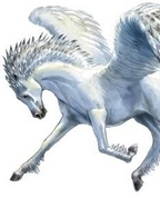 449324_29744_profile