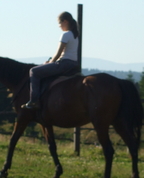 449951_49023_profile