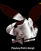 404249_86893_profile