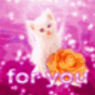 44974_865698_card