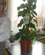 452430_96035_profile
