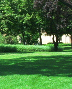 405697_17230_profile