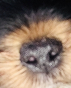 464090_89353_profile
