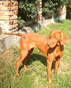 464734_27309_profile