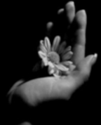 46591_718362_profile