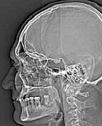 474862_85132_profile