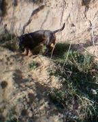 477236_14747_profile