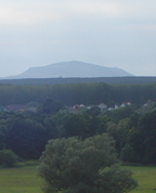 477979_72182_profile