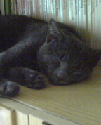 484488_65018_profile