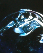 485865_94775_profile