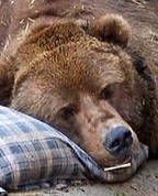 487344_78811_profile