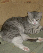 487814_94677_profile