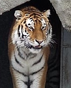 488822_50319_profile