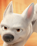 408907_98504_profile