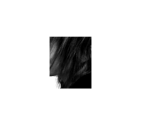 494404_67205_profile