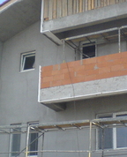 499455_43684_profile