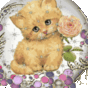 514657_85771_card