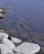 525068_46129_profile