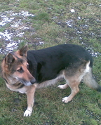525287_69785_profile