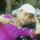 533500_96405_mini