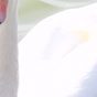 535217_48323_card