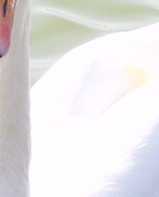 535217_48323_profile