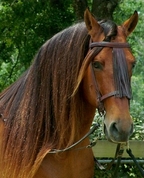 535863_14372_profile