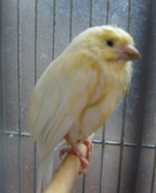 535896_59993_profile