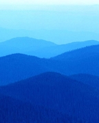 539887_60230_profile