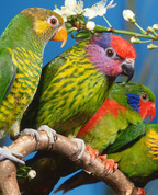 543149_43833_profile