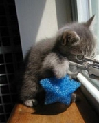 545193_64971_profile