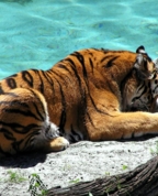 54208_757196_profile