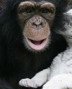 551447_92471_profile