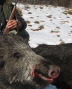 553351_23165_profile