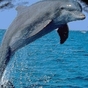 553498_34602_card