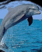 553498_34602_profile