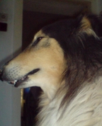 553524_83490_profile