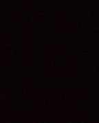 554417_98559_profile