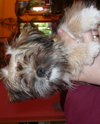 555707_34370_profile