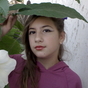 556040_24091_card