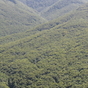 556047_86771_card