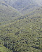 556047_86771_profile