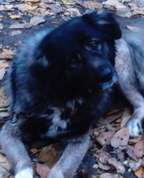 556107_15776_profile
